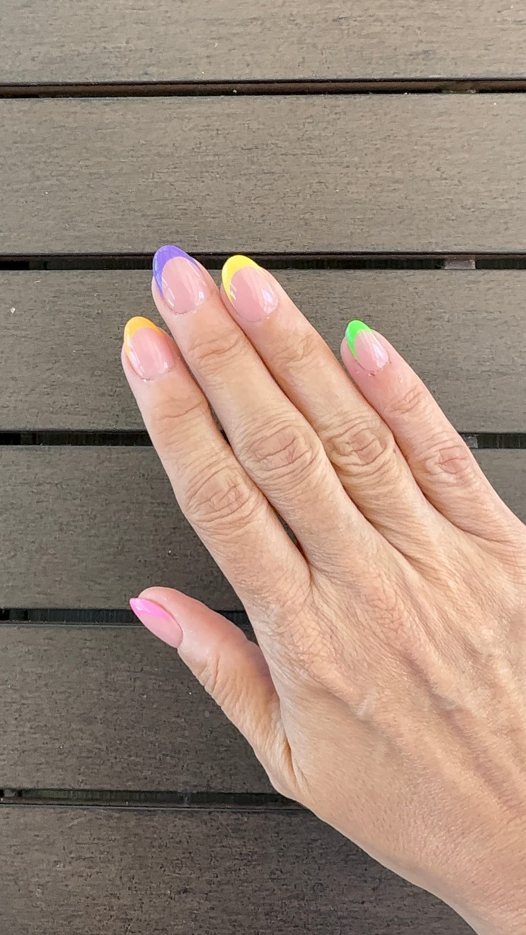 Frenchies - Summer Colors