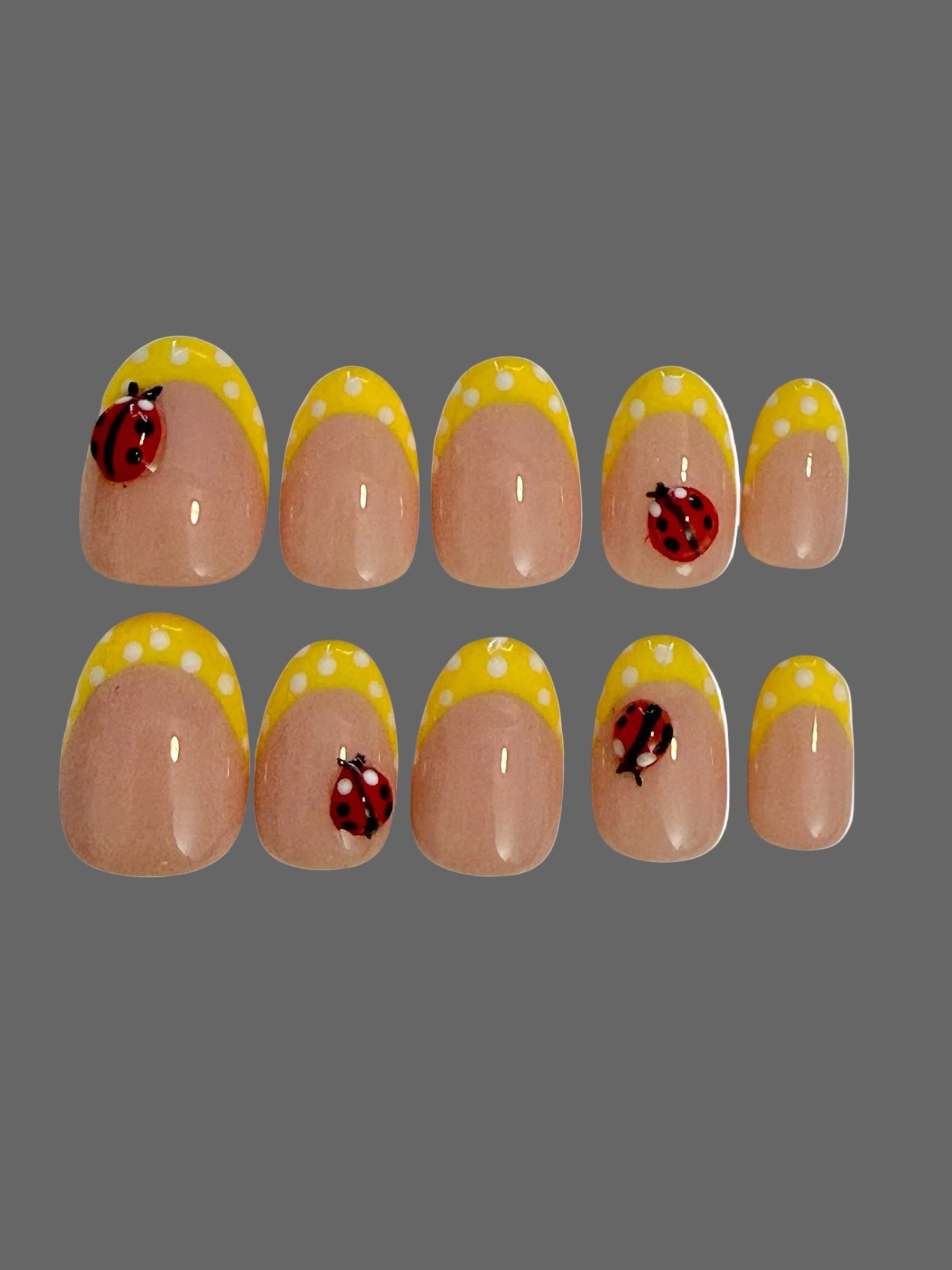 Frenchies - Ladybugs