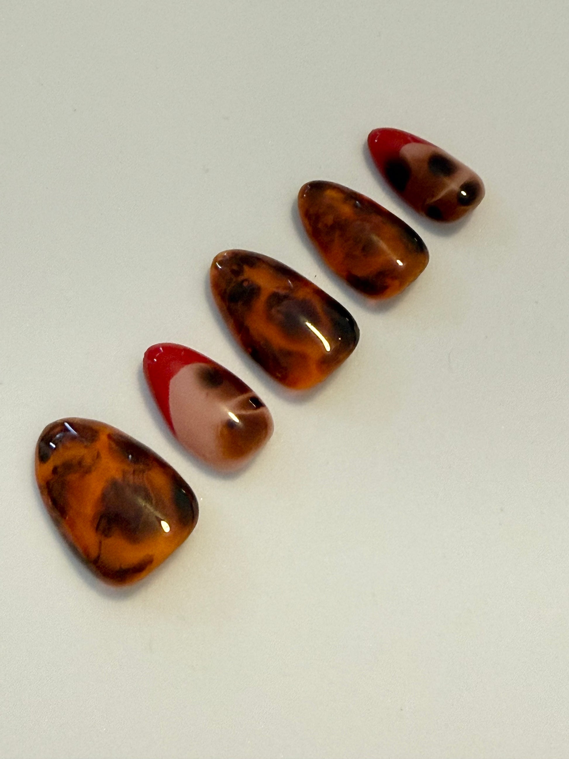 Seasonal Designs - FALL