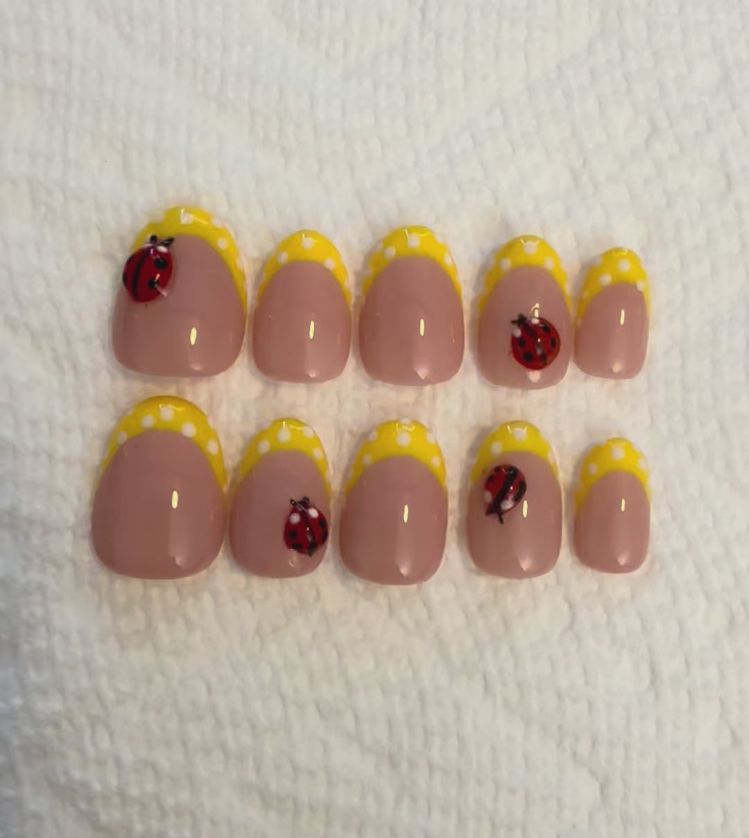 Frenchies - Ladybugs